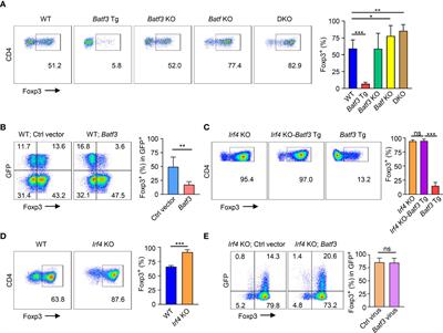 Suppression of FOXP3 expression by the AP-1 family transcription factor BATF3 requires partnering with IRF4